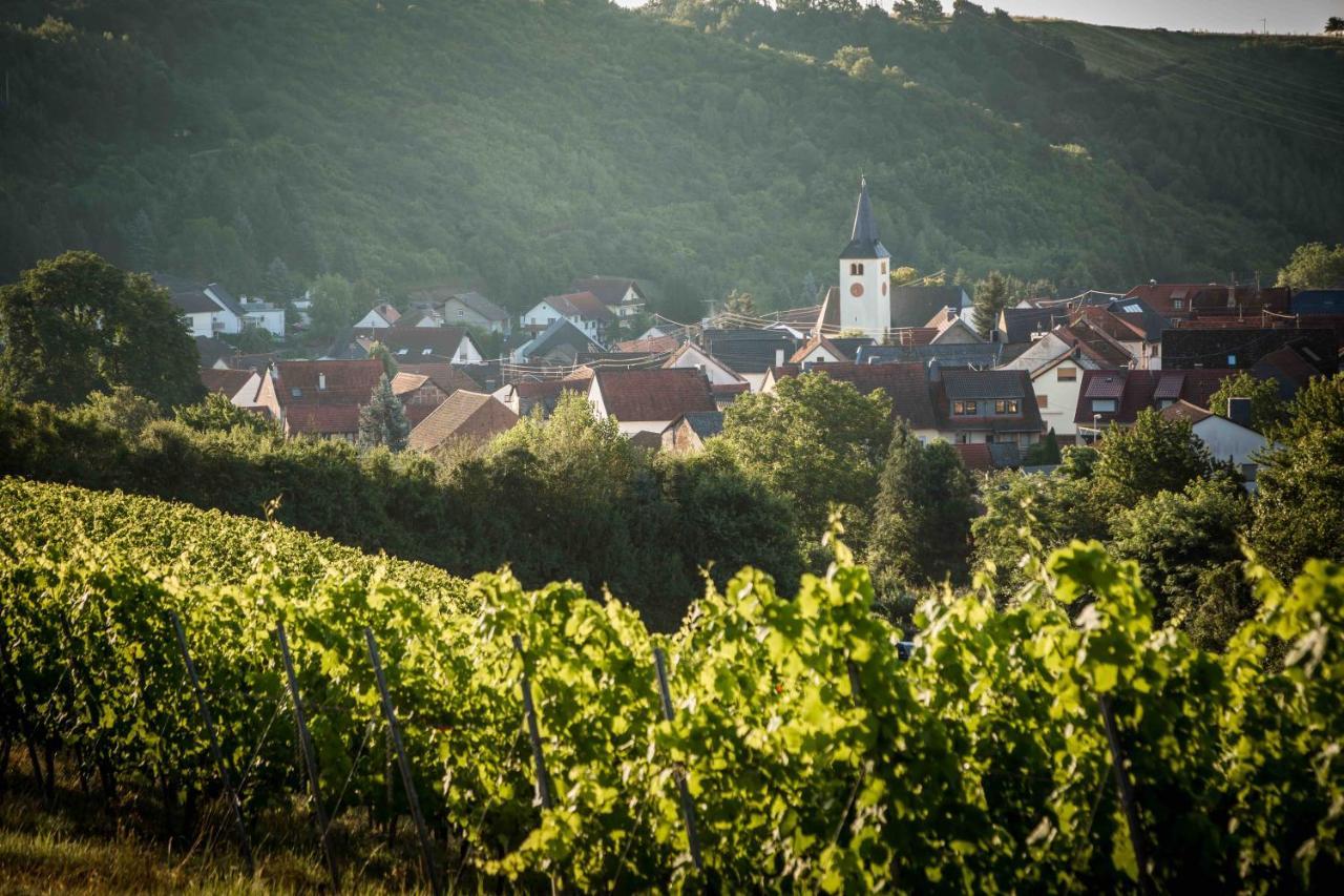 Schmidtburger Hof Hotel Weiler bei Monzingen Luaran gambar